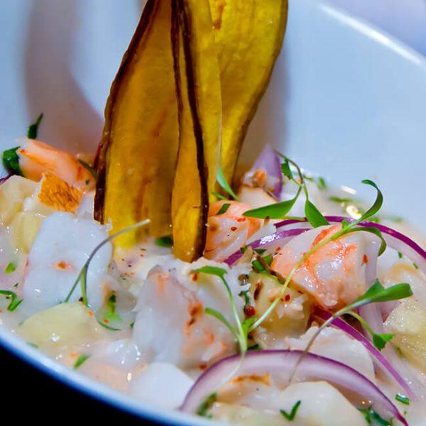 Ceviche Costeño - Carnes Castillo